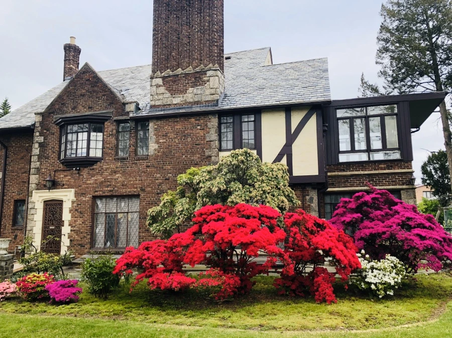 IMG_7243.jpg?type=w966