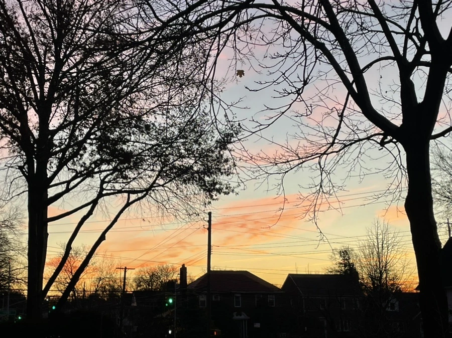 IMG_6871.jpg?type=w966