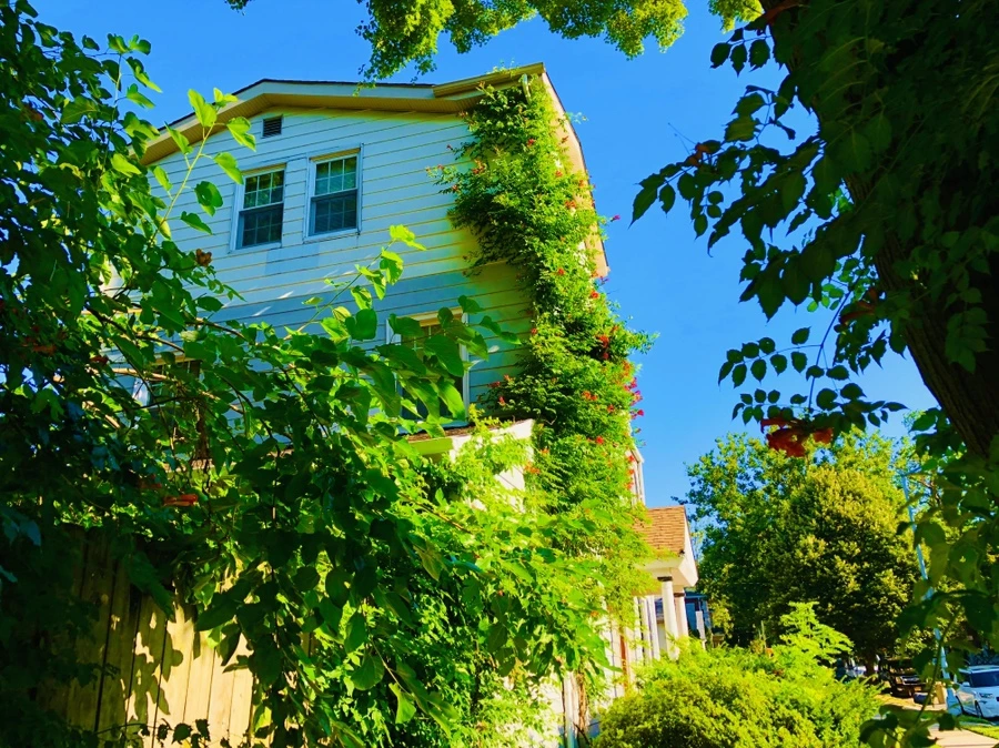 IMG_2778.jpg?type=w966