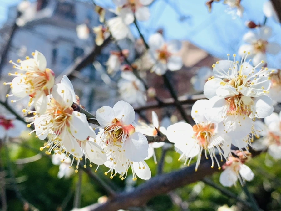 IMG_1327.jpg?type=w966