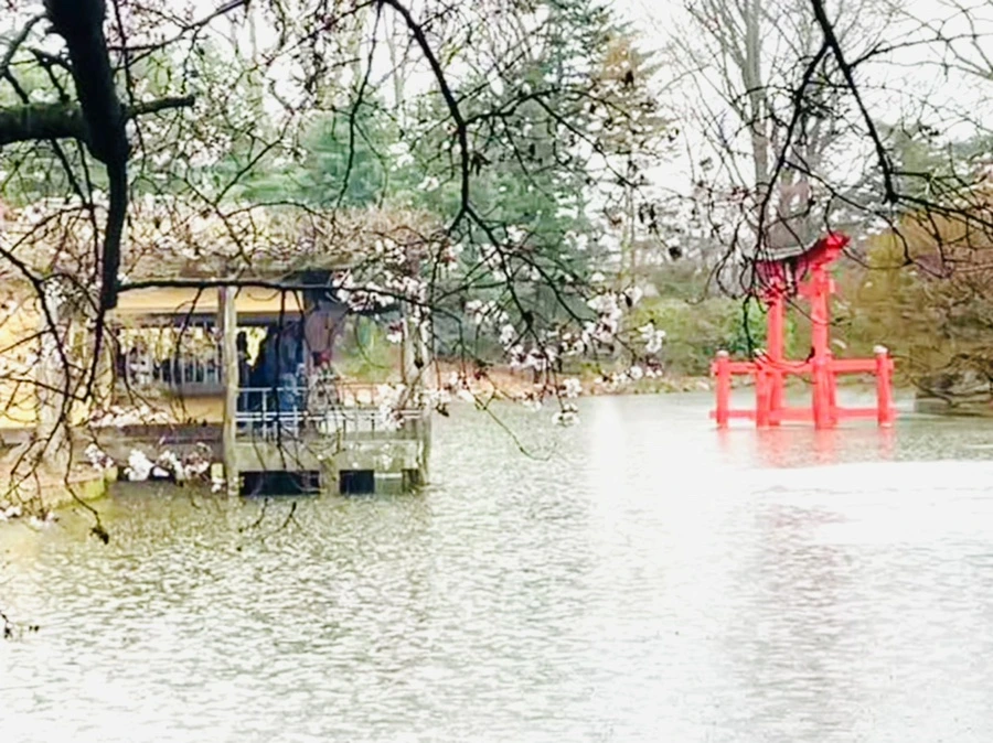 IMG_7335.jpg?type=w966