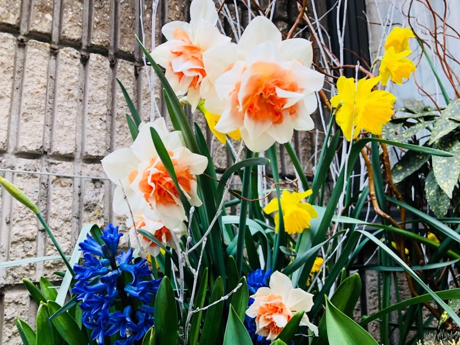 IMG_4281.jpg?type=w966