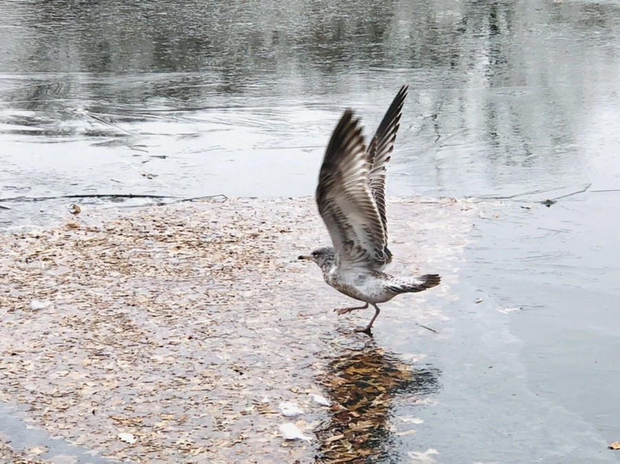 IMG_8707.jpg?type=w966