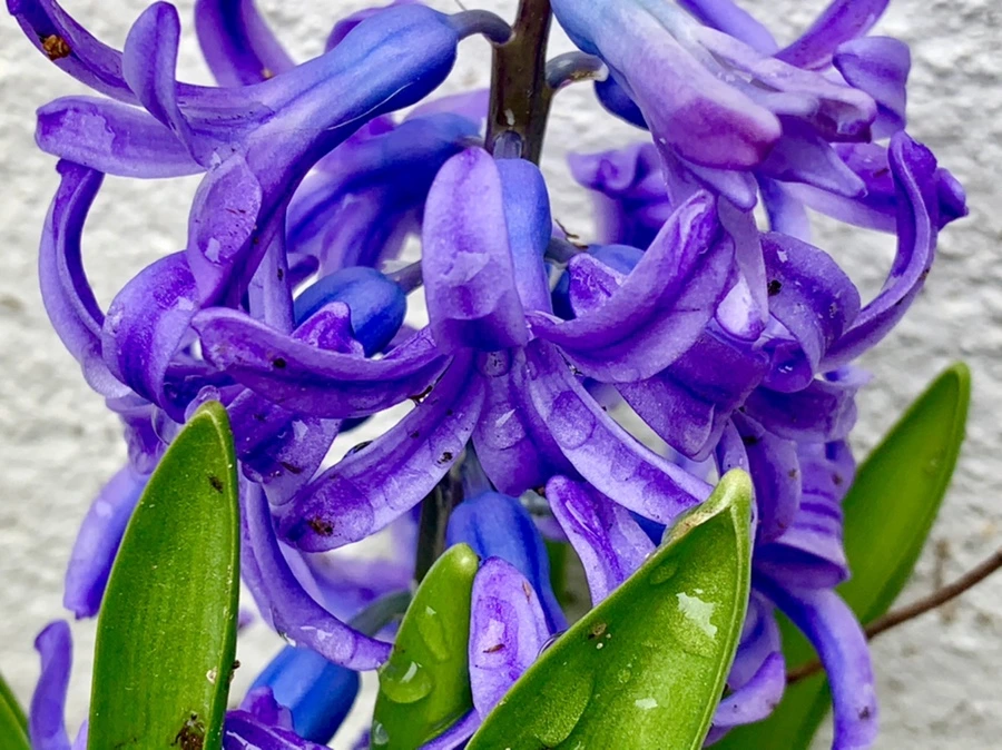 IMG_3758.jpg?type=w966