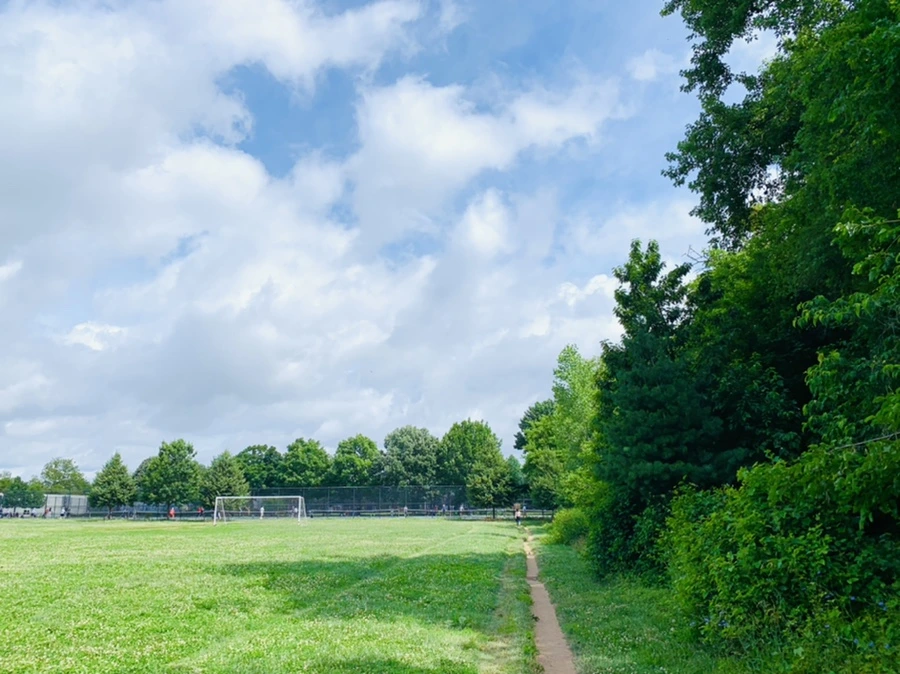 IMG_7398.jpg?type=w966