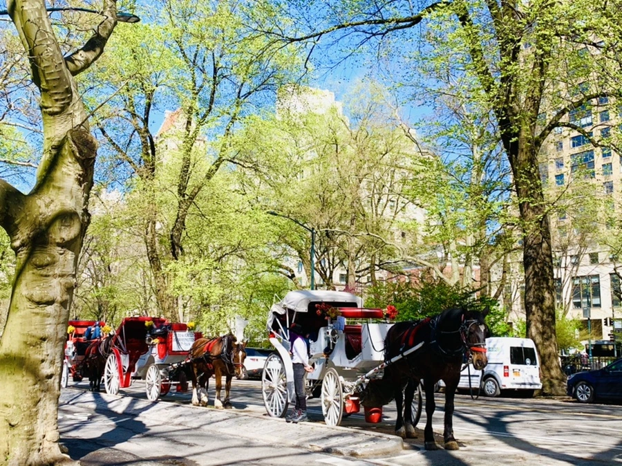 IMG_1990.jpg?type=w966