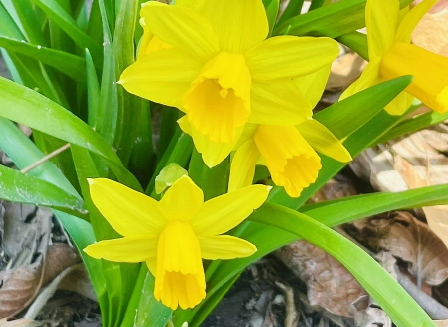 IMG_5508.jpg?type=w966