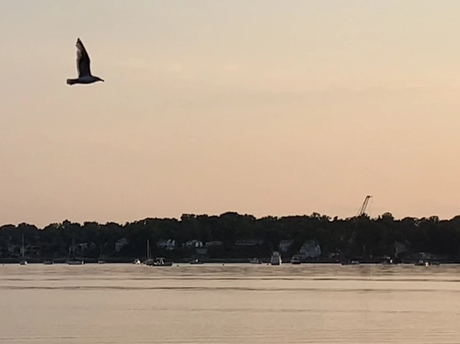 IMG_9640.jpg?type=w966