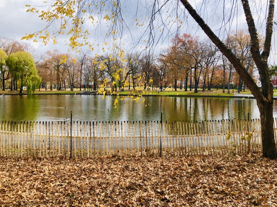 IMG_5437.jpg?type=w966