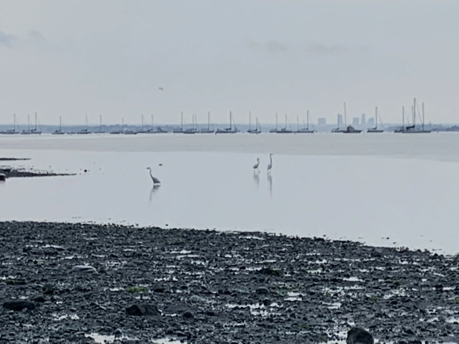 IMG_8099.jpg?type=w966