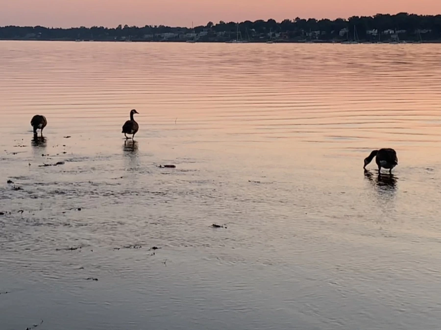 IMG_0092.jpg?type=w966