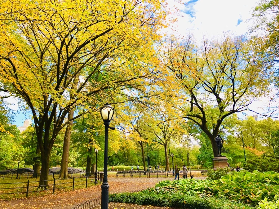 IMG_3002.jpg?type=w966