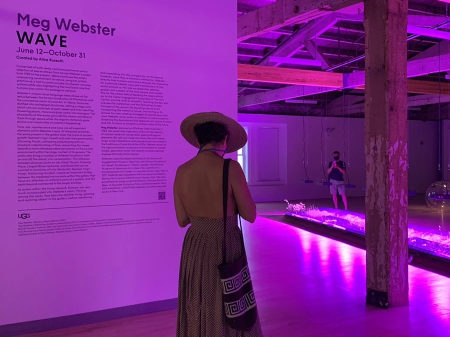 IMG_6820.jpg?type=w966