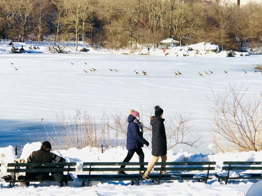 IMG_9812.jpg?type=w966