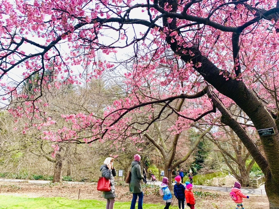 IMG_6428.jpg?type=w966