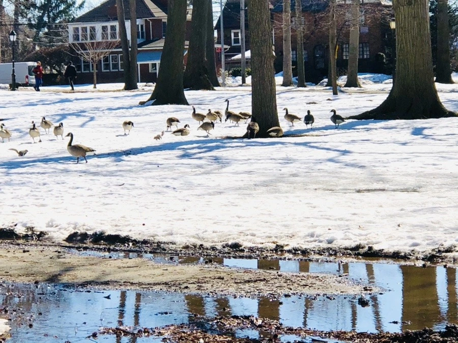 V2AeFFy4HYuo39MhatFXbAMT7kg