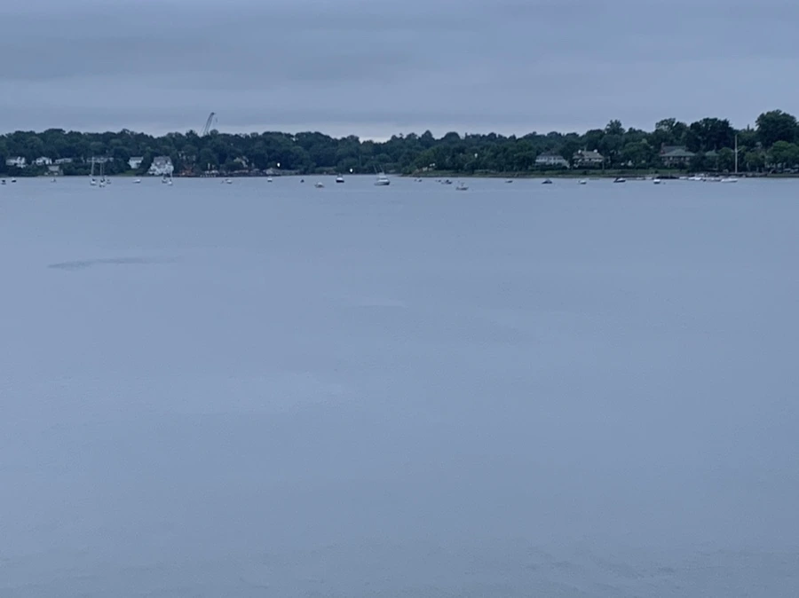 IMG_6931.jpg?type=w966