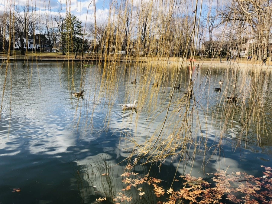 IMG_4339.jpg?type=w966