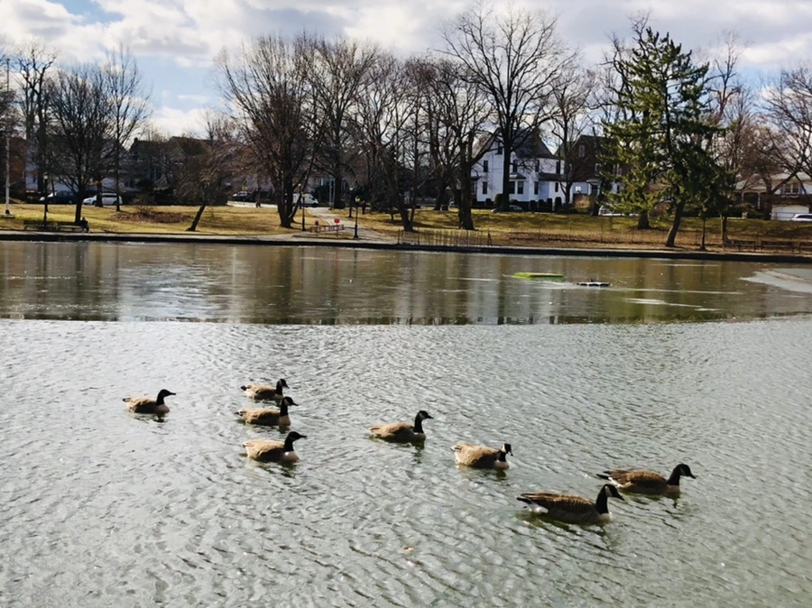 IMG_5209.jpg?type=w966