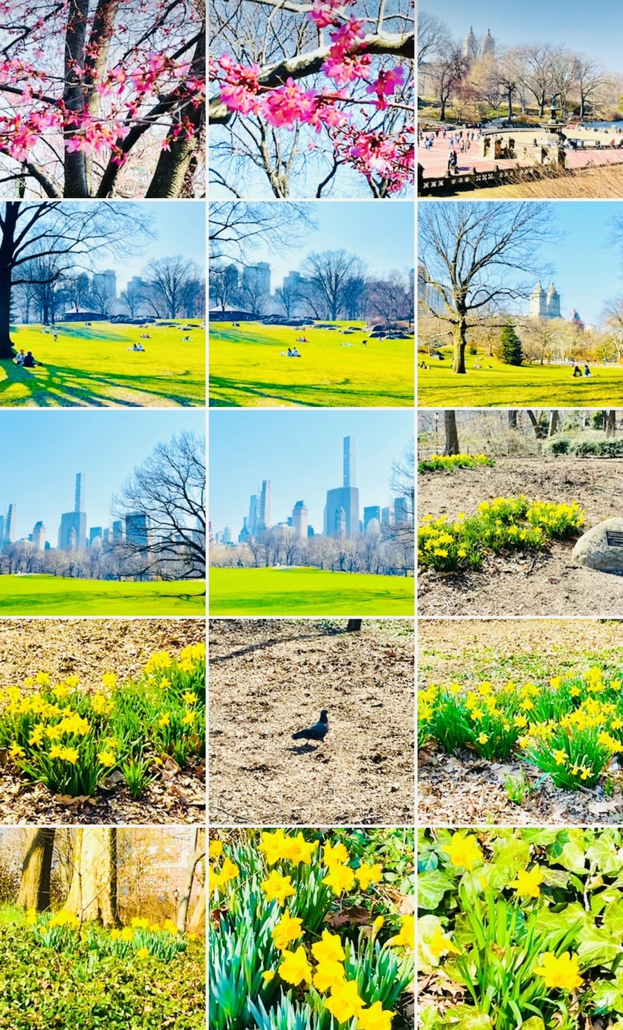 IMG_5659.jpg?type=w966