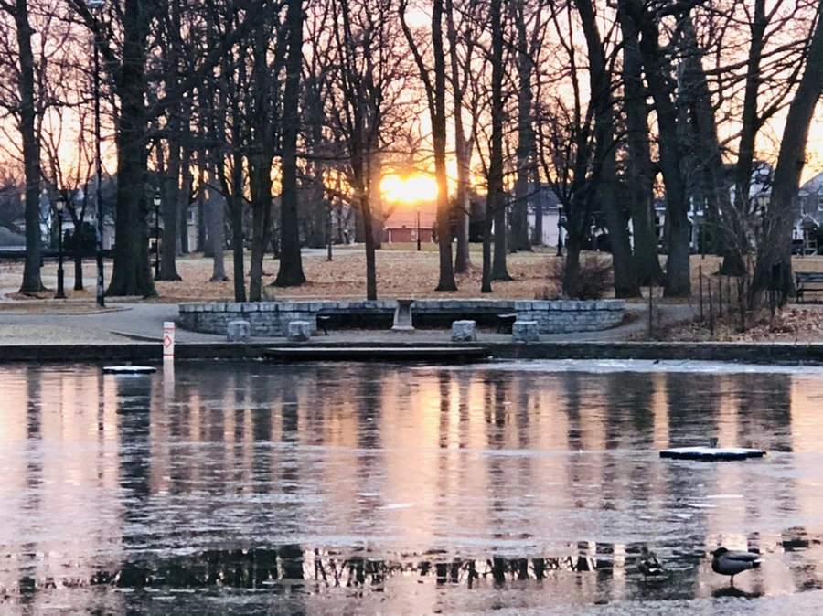 IMG_1908.jpg?type=w966