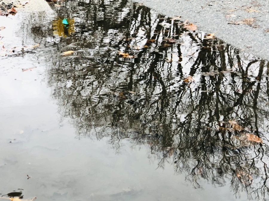 IMG_8147.jpg?type=w966