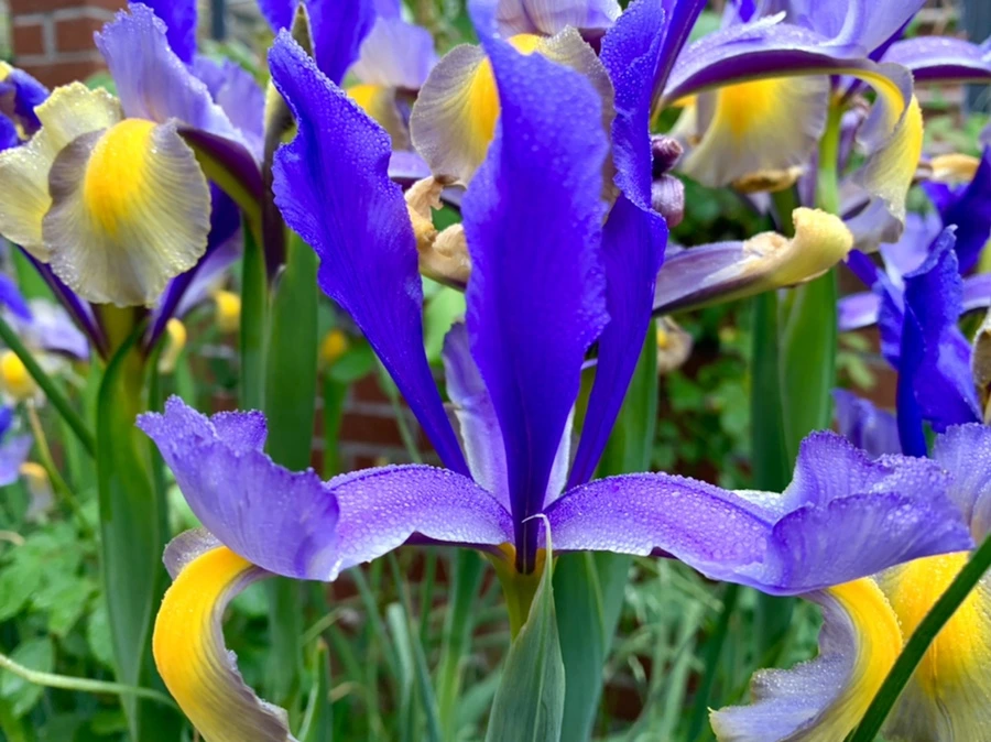 IMG_9698.jpg?type=w966