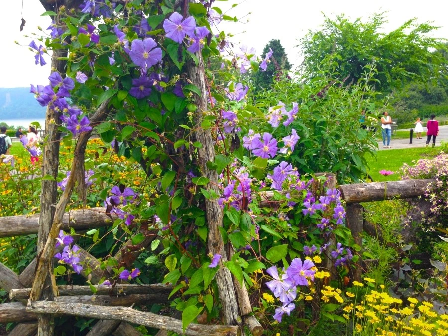 IMG_7453.JPG?type=w1