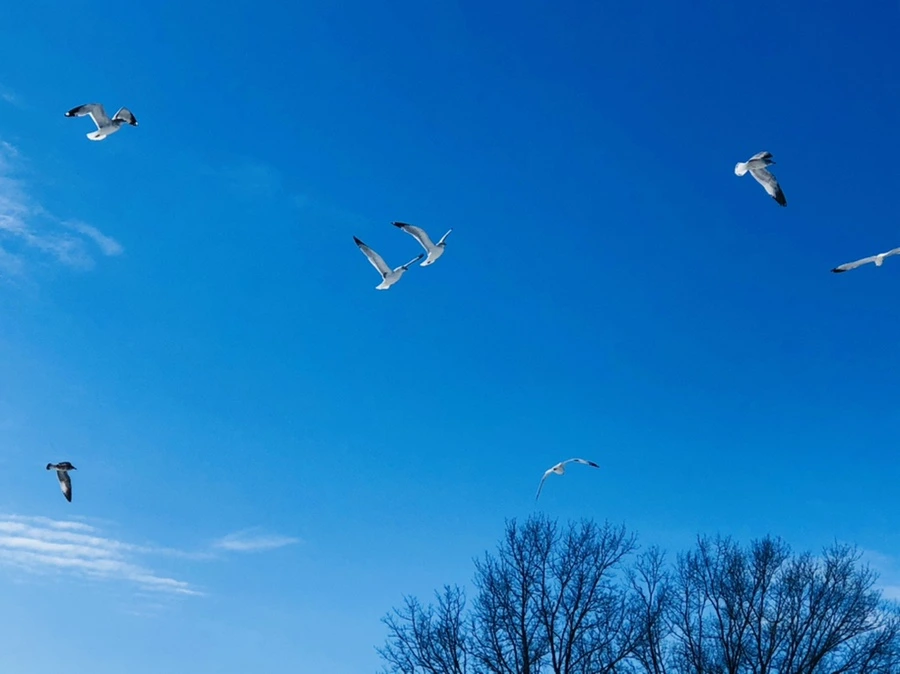 IMG_1313.jpg?type=w966