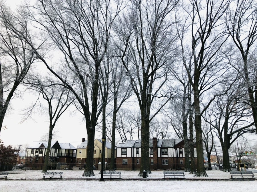 IMG_4451.jpg?type=w966