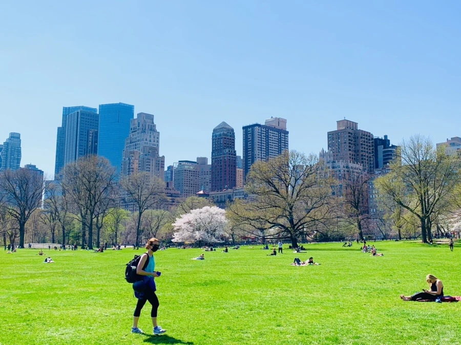 IMG_8932.jpg?type=w966