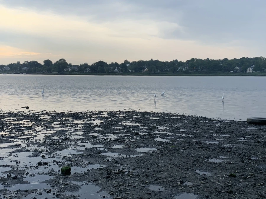 IMG_8146.jpg?type=w966