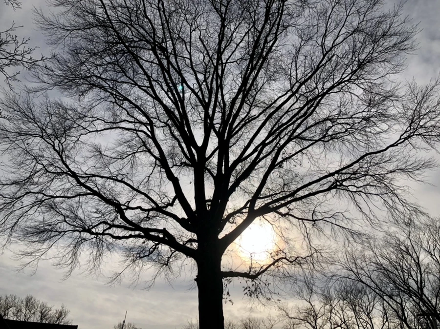 IMG_4808.jpg?type=w966