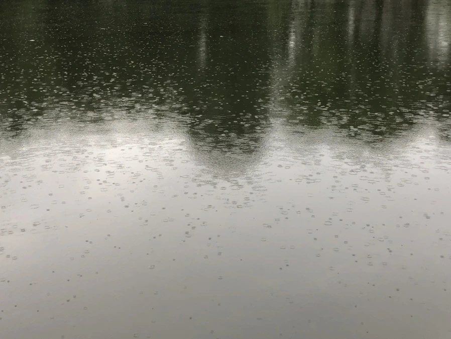 IMG_3213.jpg?type=w966