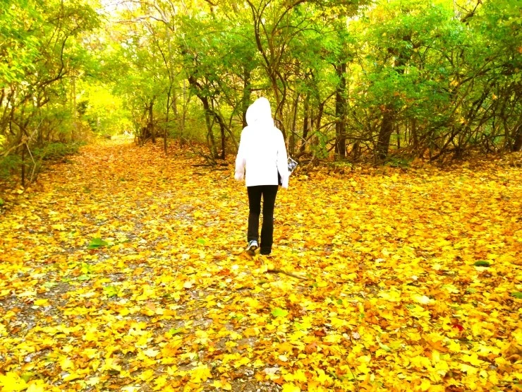 IMG_4947.JPG?type=w1