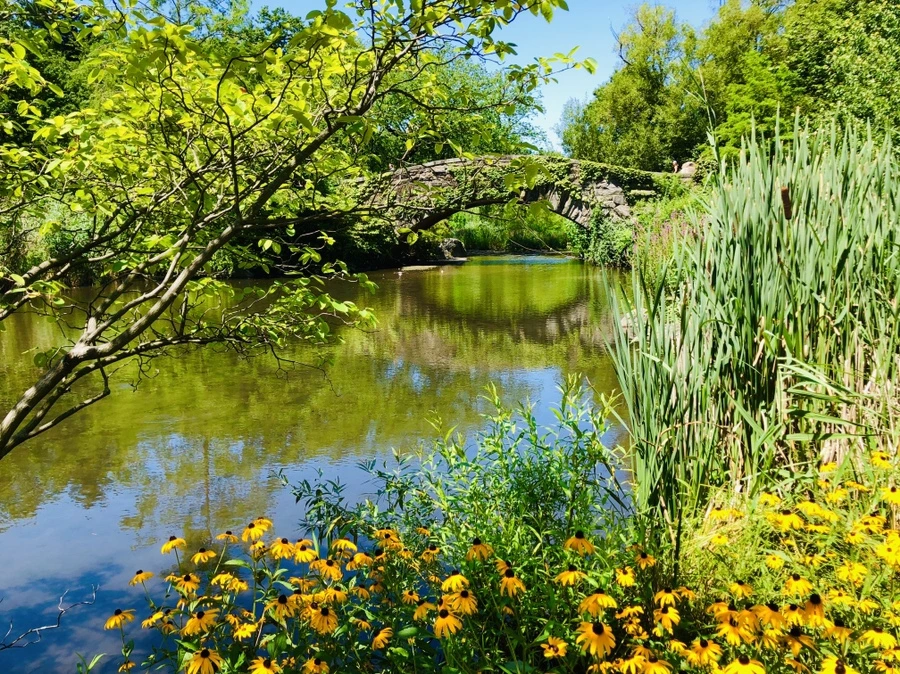 IMG_5708.jpg?type=w966