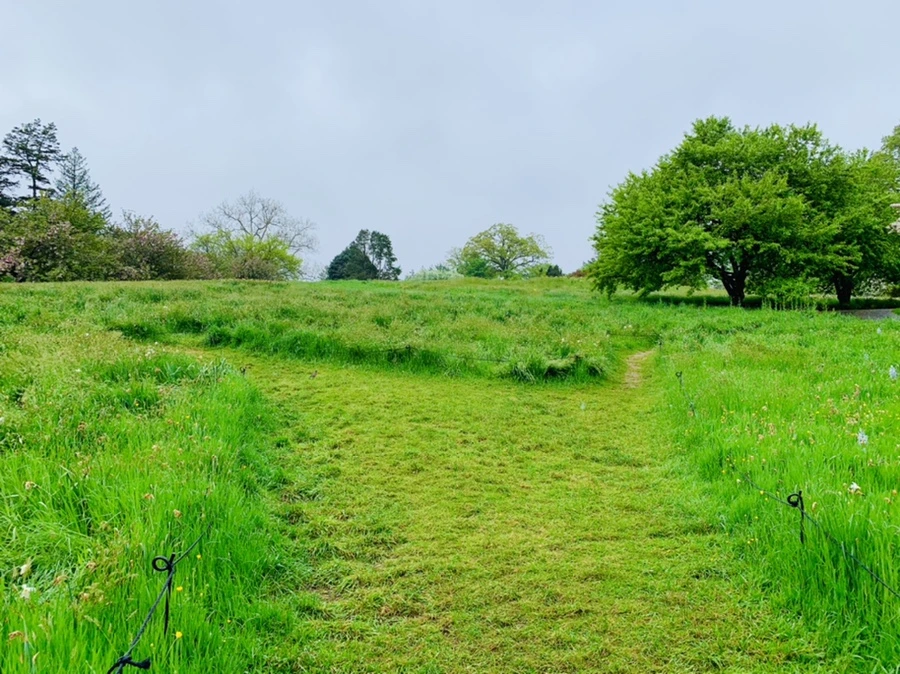 IMG_9887.jpg?type=w966