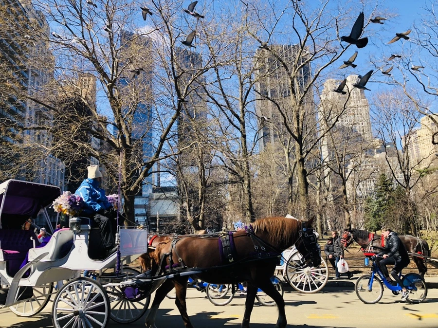 IMG_1175.jpg?type=w966