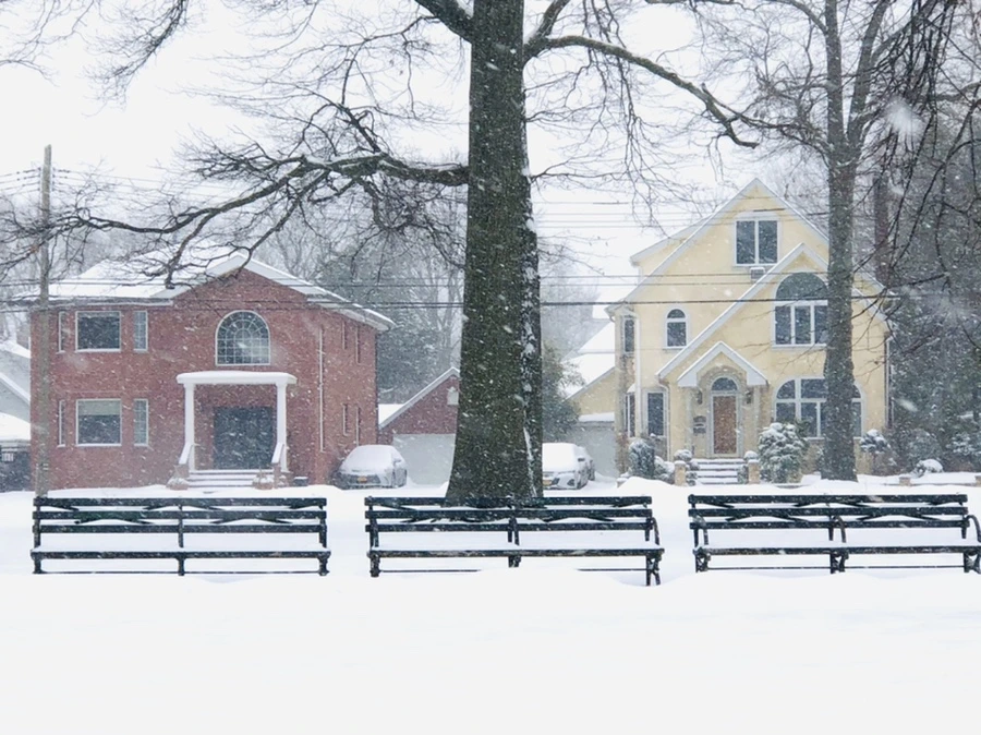 IMG_3381.jpg?type=w966