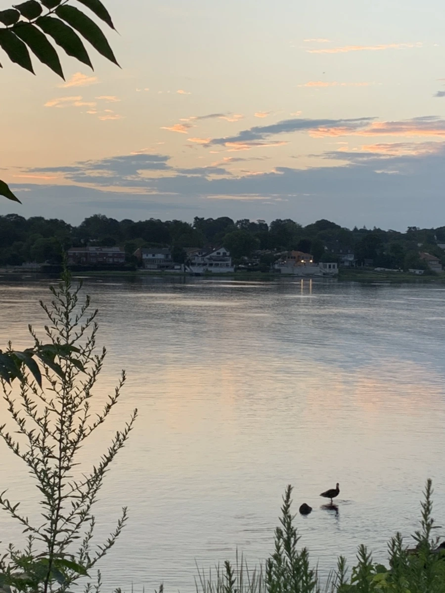 IMG_1189.jpg?type=w966