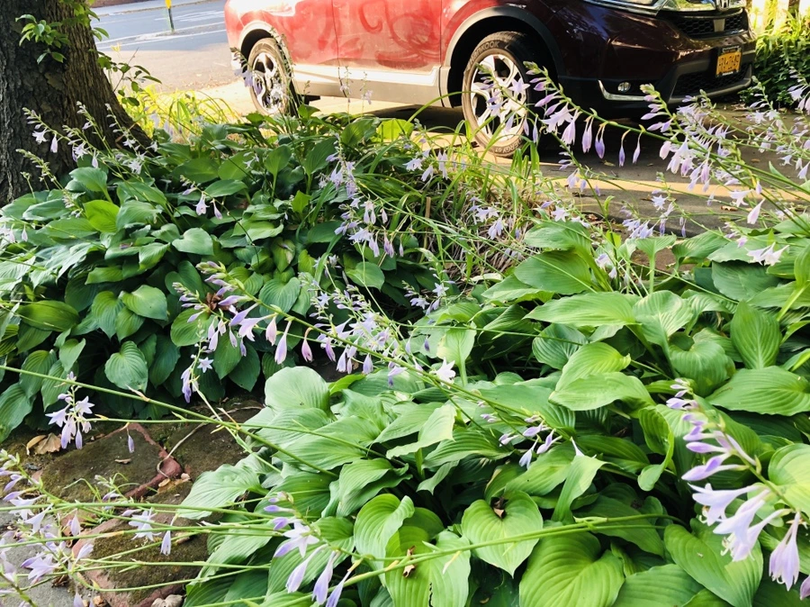 IMG_1856.jpg?type=w966