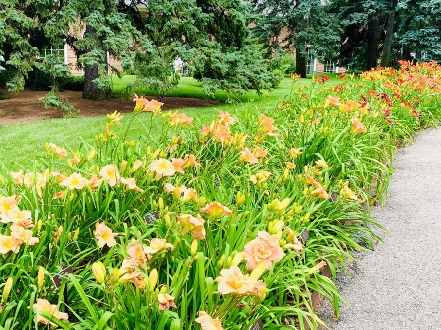 IMG_2578.jpg?type=w966