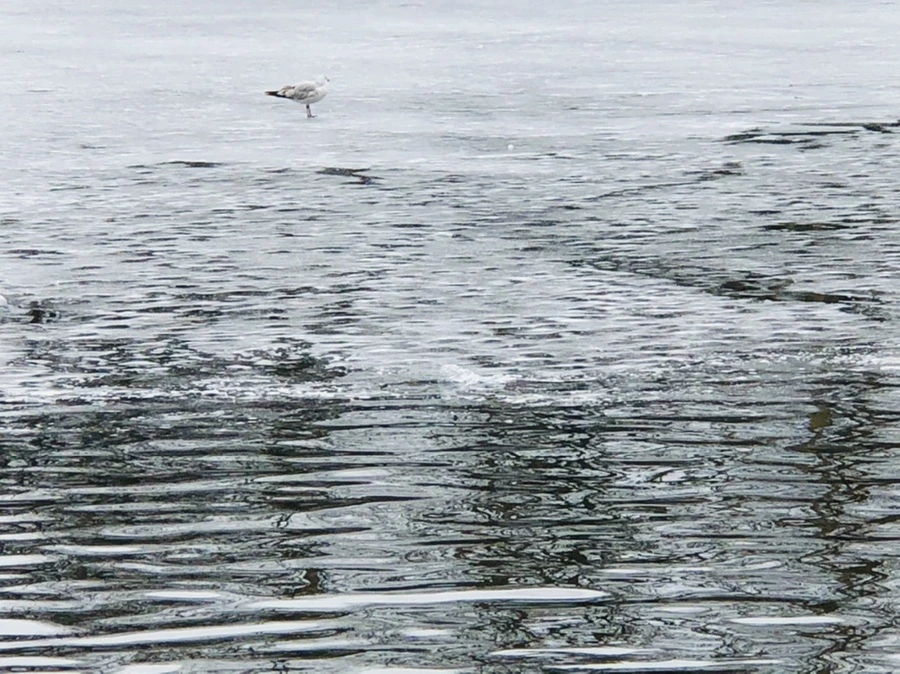 IMG_6063.jpg?type=w966