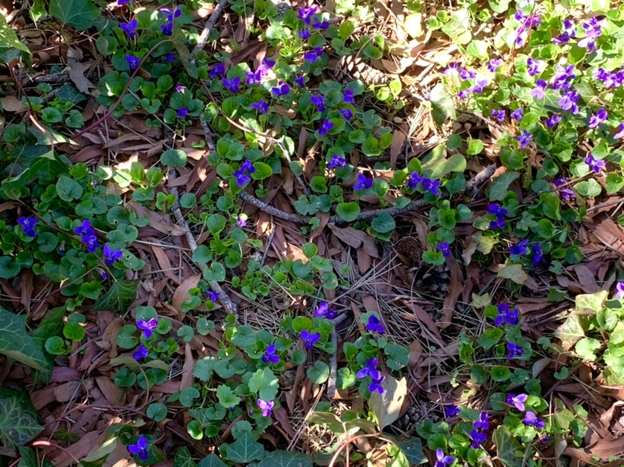 IMG_5769.jpg?type=w966