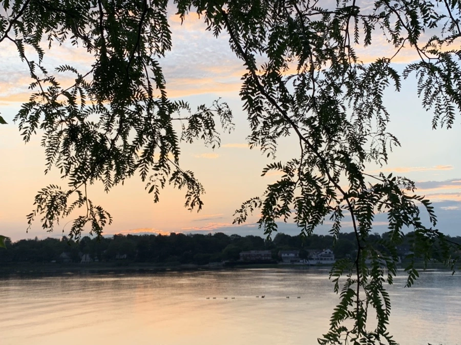 IMG_1214.jpg?type=w966