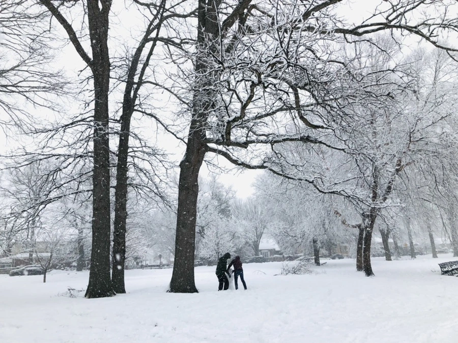 IMG_1074.jpg?type=w966