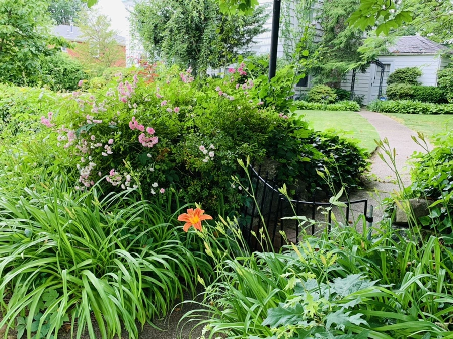 IMG_2701.jpg?type=w966