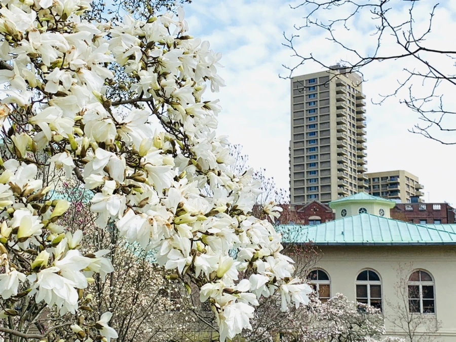 IMG_7256.jpg?type=w966