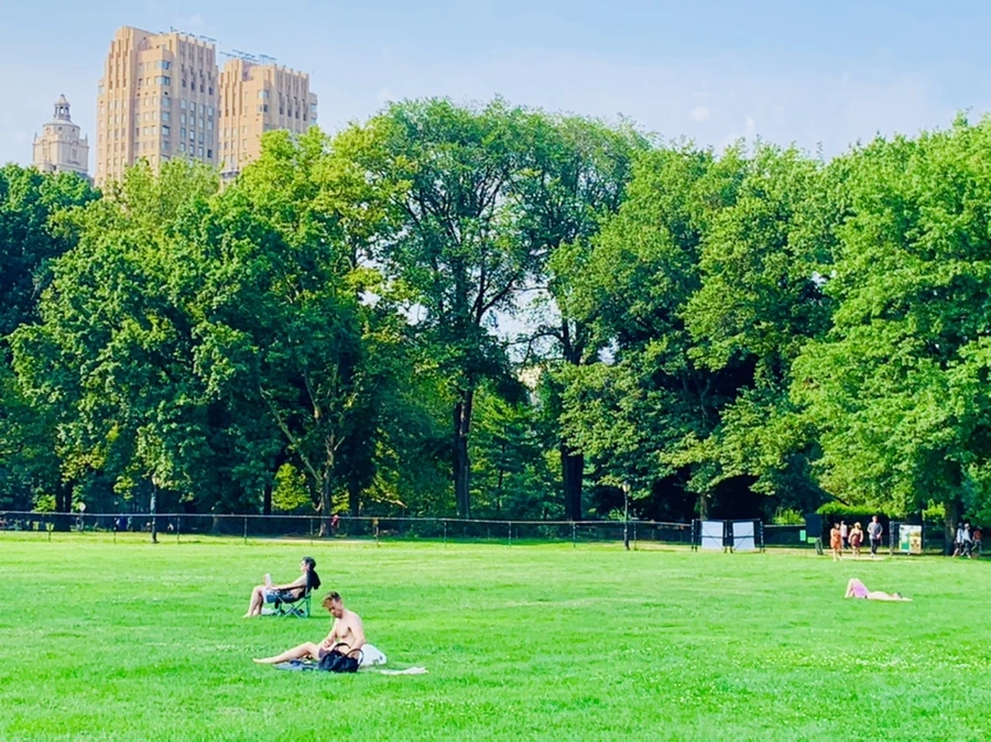 IMG_1688.jpg?type=w966