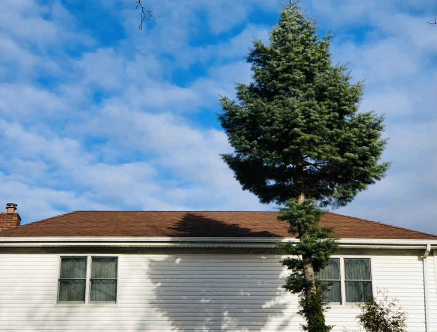 IMG_9849.jpg?type=w966